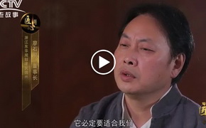 書法與建筑視頻