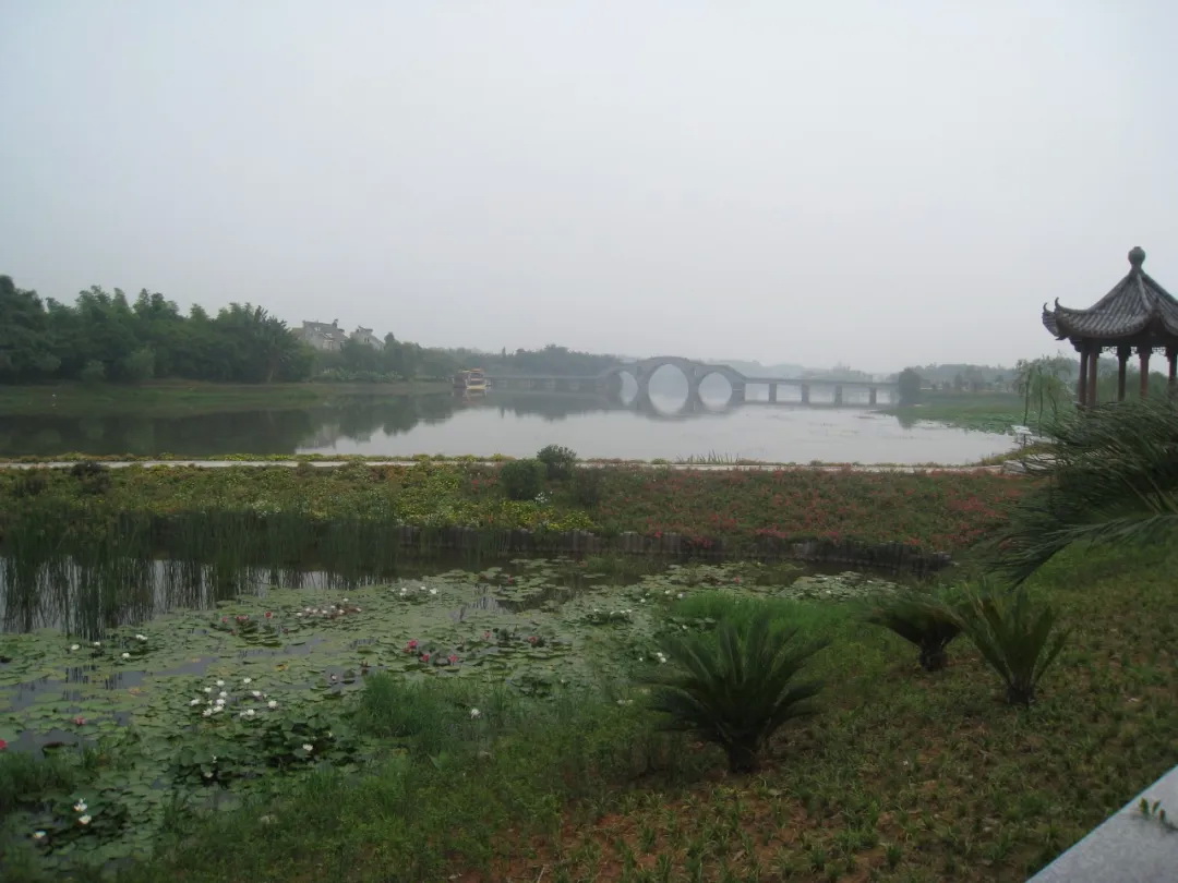 風景園林115